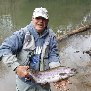 Meet your Posher, Steve